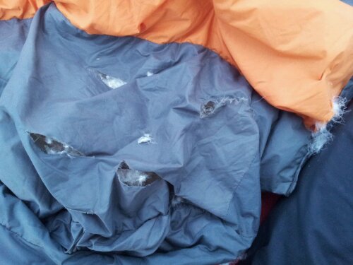 wpid-Bear-sleeping-bag.jpg